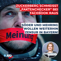 Bild: AfD Deutschland