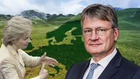 Prof. Dr. Jörg Meuthen (2020)