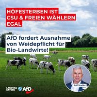 Bild: AfD Deutschland