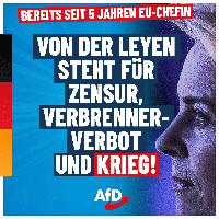 Bild: AfD Deutschland