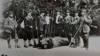 Eine Jagdgesellschaft posiert mit dem letzten Braunbären Nordtirols im Stallental, 1898 (Symbolbild)