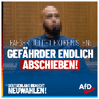 Bild: AfD Deutschland