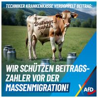 Bild: AfD Deutschland