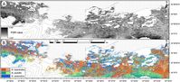 Unterschiedliche Karten der Insel Navarino erstellt auf Grundlage von WorldView-2-Bildern
Quelle: © Remote Sensing of Environment (Soto et al. 2017) (idw)
