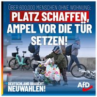 Bild: AfD Deutschland