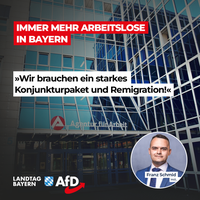 Bild: AfD Deutschland