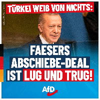 Bild: AfD Deutschland