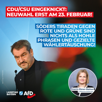 Bild: AfD Deutschland