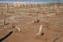 Die riesigen Braunkohlegruben in Deutschland sollten zu einem wunderschönen Seenparadies werden. Doch das Wasser ist an einigen Stellen ätzend wie reiner Essig, kaum Leben ist hier möglich. Bild: ZDF und Marcel Weingärtner