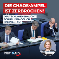 Bild: AfD Deutschland