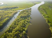 Saalemündung in die Elbe. Bild: André Künzelmann/UFZ