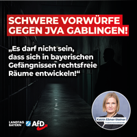 Bild: AfD Deutschland