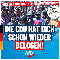 Bild: AfD Deutschland