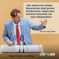 Bild: AfD Deutschland