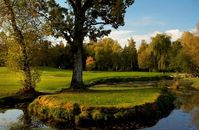 Bild:     GC Gut Altentann Fotograf:     ARGE Golf & Seen c/o Tourismusverband Mondsee-Irrsee