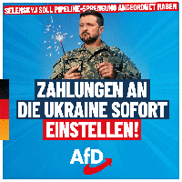 Bild: AfD Deutschland