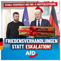 Bild: AfD Deutschland