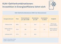 Sparsame Kühlschränke rechnen sich kurz- bis mittelfristig