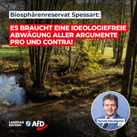 Bild: AfD Deutschland