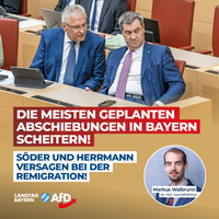 Bild: AfD Deutschland