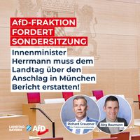 Bild: AfD Deutschland