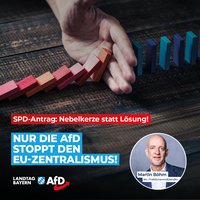 Bild: AfD Deutschland