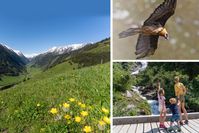 Abenteuer Raurisertal - wo Berge rufen, Wasser plätschert und Geier kreisen