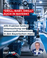 Bild: AfD Deutschland