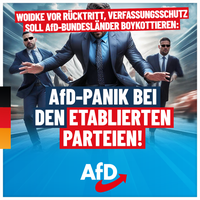 Bild: AfD Deutschland