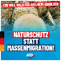 Bild: AfD Deutschland