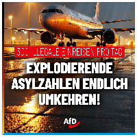 Bild: AfD Deutschland