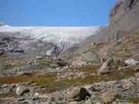 Leben im Paläolithikum: Nach dem Abschmelzen der Gletscher besiedelten zunächst Pionierpflanzen das Schweizer Mittelland – so wie hier am Gletscher Tsanfleuron
Quelle: Foto: Werner Müller (idw)