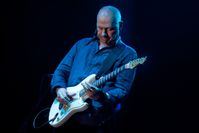 Mark Knopfler 2013