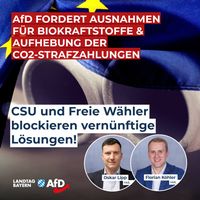 Bild: AfD Deutschland