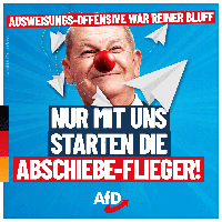 Bild: AfD Deutschland