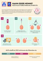 Infografik Abschaffung Kükentöten  Bild: "obs/ALDI"