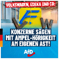 Bild: AfD Deutschland