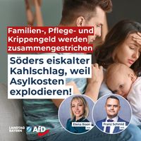 Bild: AfD Deutschland