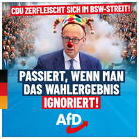 Bild: AfD Deutschland