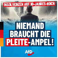 Bild: AfD Deutschland