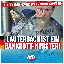 Bild: AfD Deutschland